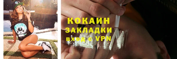 дживик Абаза