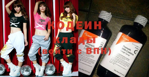 дживик Абаза