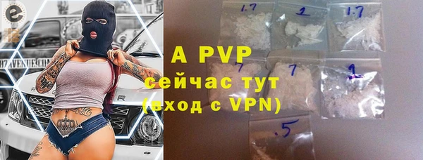 дживик Абаза
