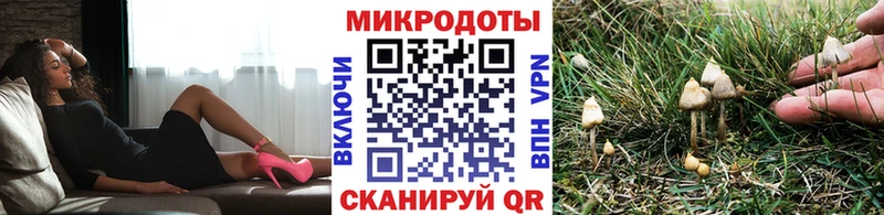 наркошоп  нарко площадка формула  Псилоцибиновые грибы прущие грибы  Карабаново 